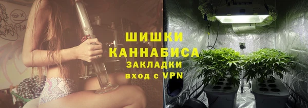 mdpv Елабуга