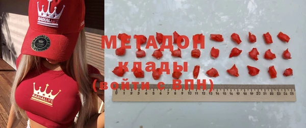 индика Ельня
