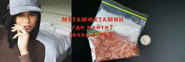 индика Ельня