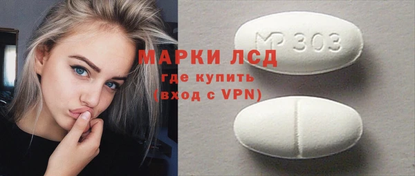 индика Ельня