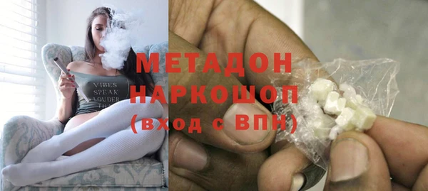индика Ельня