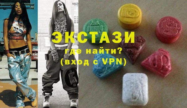 индика Ельня