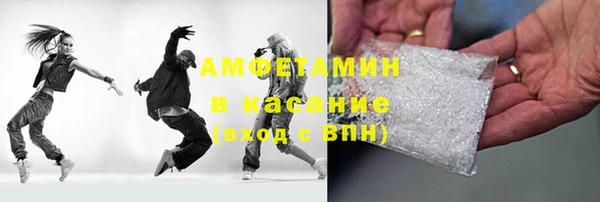 индика Ельня