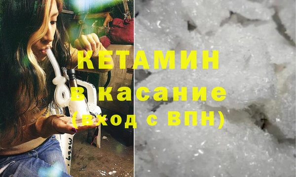 индика Ельня