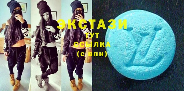 индика Ельня