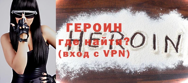 индика Ельня