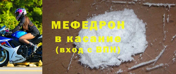 индика Ельня