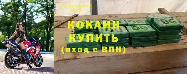 индика Ельня