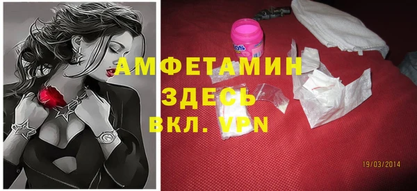 индика Ельня