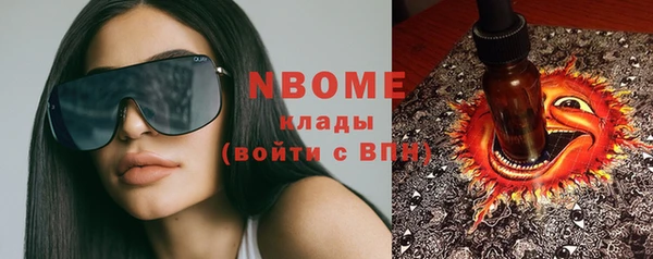индика Ельня