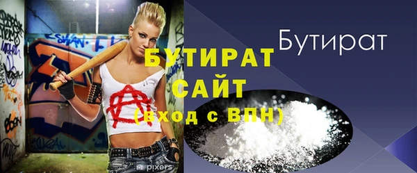 индика Ельня