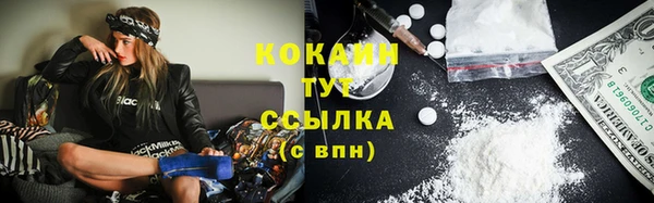 соль ск Елизово