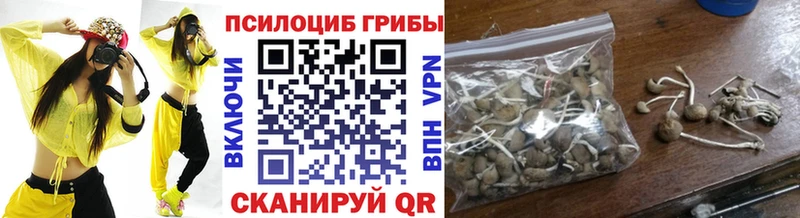 Галлюциногенные грибы мицелий  Купить где  Когалым 