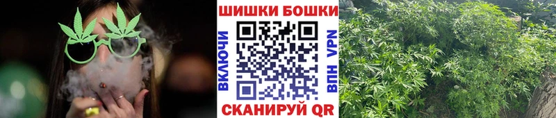 Купить  Когалым  Каннабис индика 